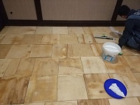 Укладка ковролина на клей, Сосновый бор